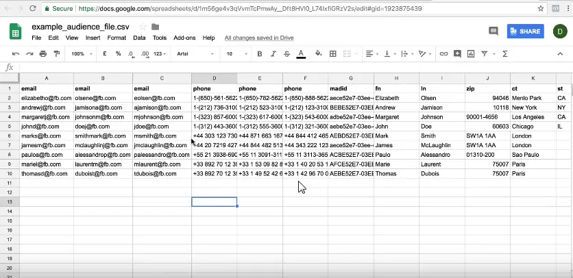 upload custom audience data of team