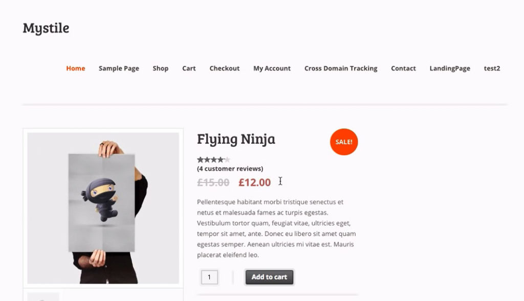 Screenshot of an ecommerce website product page