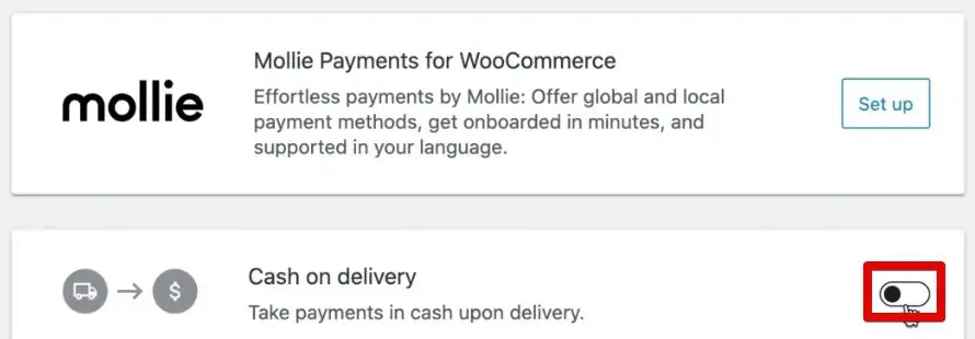 Selecting the Cash on delivery option to collect payments on the demo store