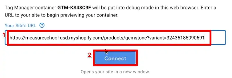 Connecting the website URL to Google Tag Manager for previewing the data layer