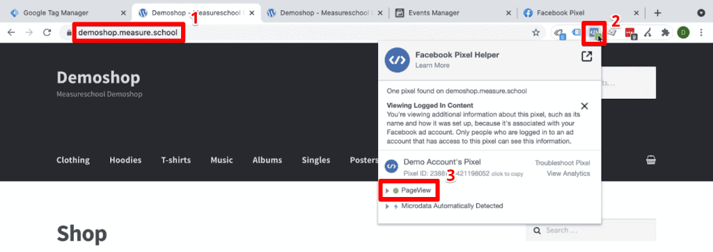 Detecção bem-sucedida do evento PageView na extensão Facebook Pixel Helper