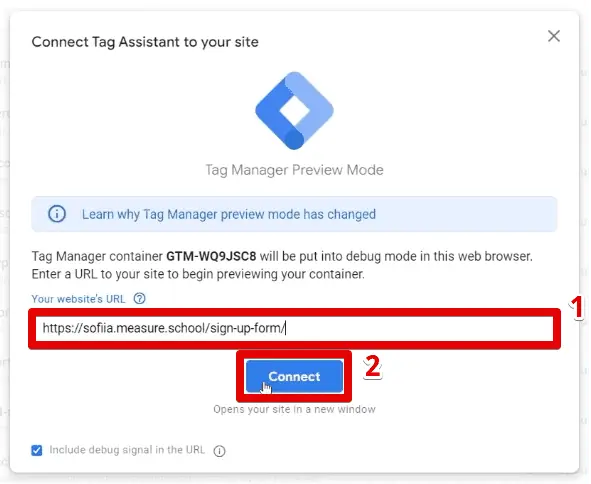 Connecting the Tag Assistant to your website