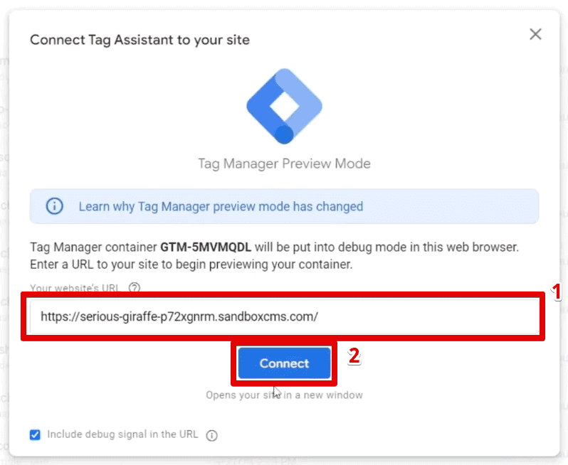 Connecting the Tag Assistant to the online store