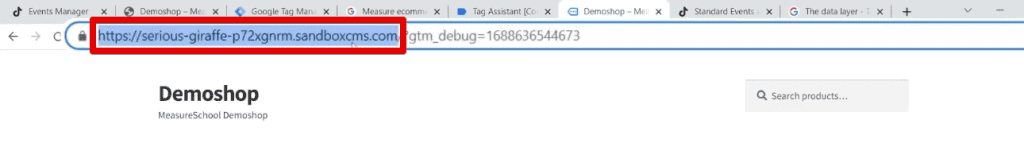 Copying the demo shop website URL