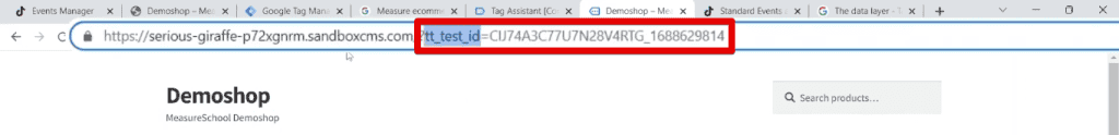 TikTok test ID query string