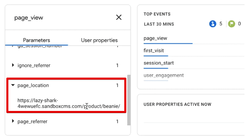 Checking the page_location parameter of the page_view event
