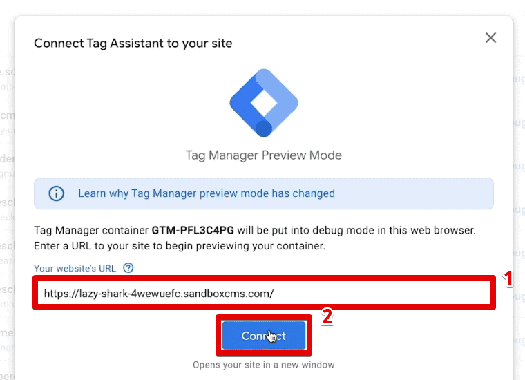 Connecting GTM to the demo shop