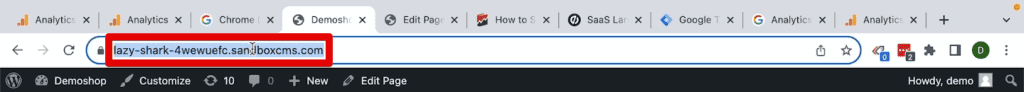 Copying the demo shop website URL