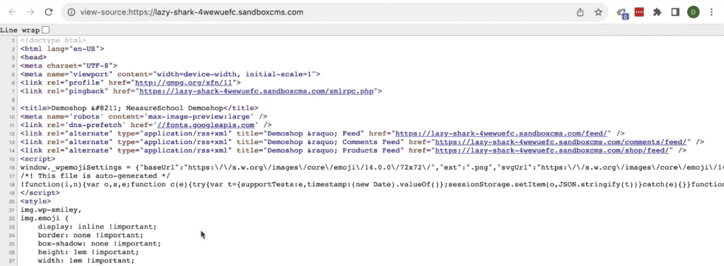 Opening the HTML source of the demo shop