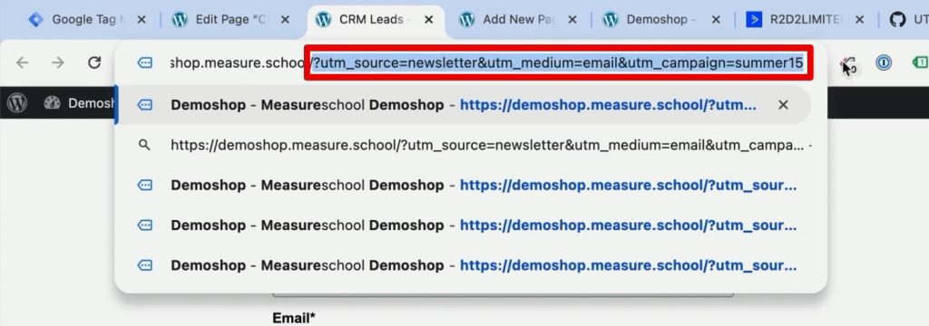 Entering the demo shop with UTM parameters attached to the URL
