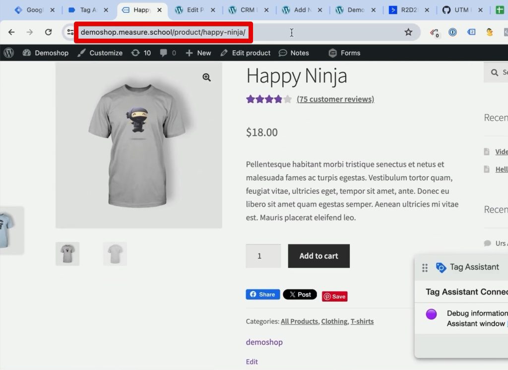 Going to a product page in the demo shop