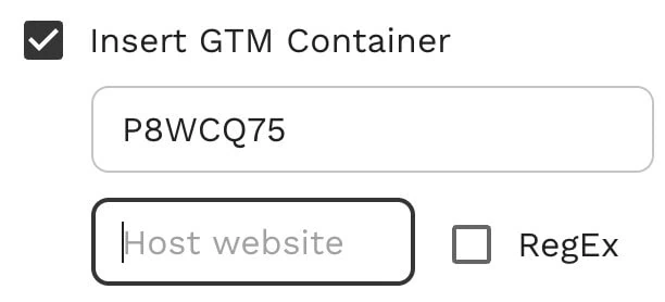 Insert GTM container on Inspector+