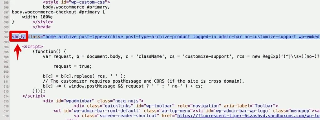 Body section in the page source HTML code