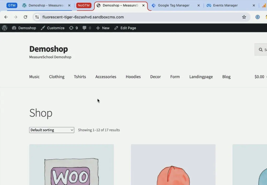 Demo shop without Google Tag Manager installed