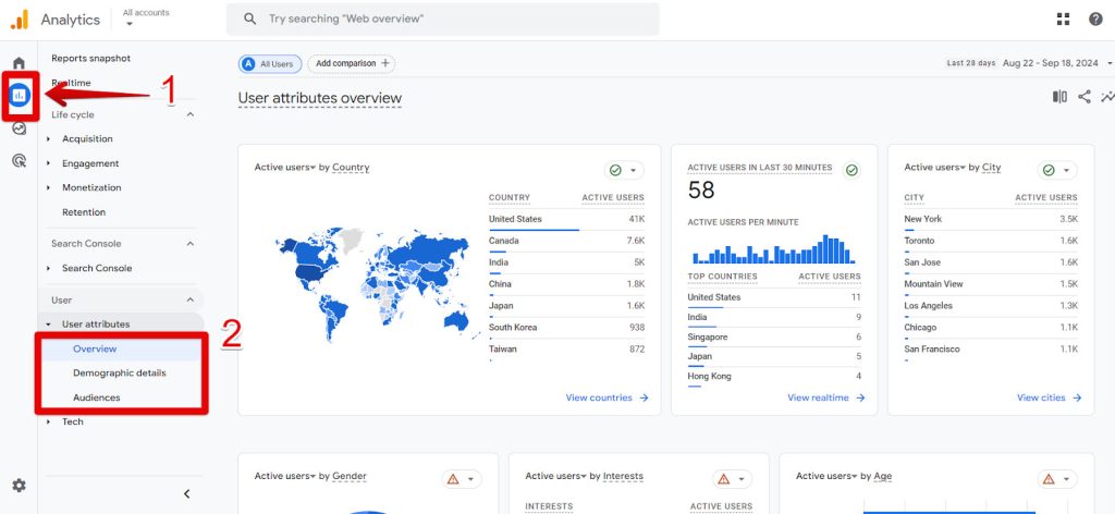 Demographics reports access steps