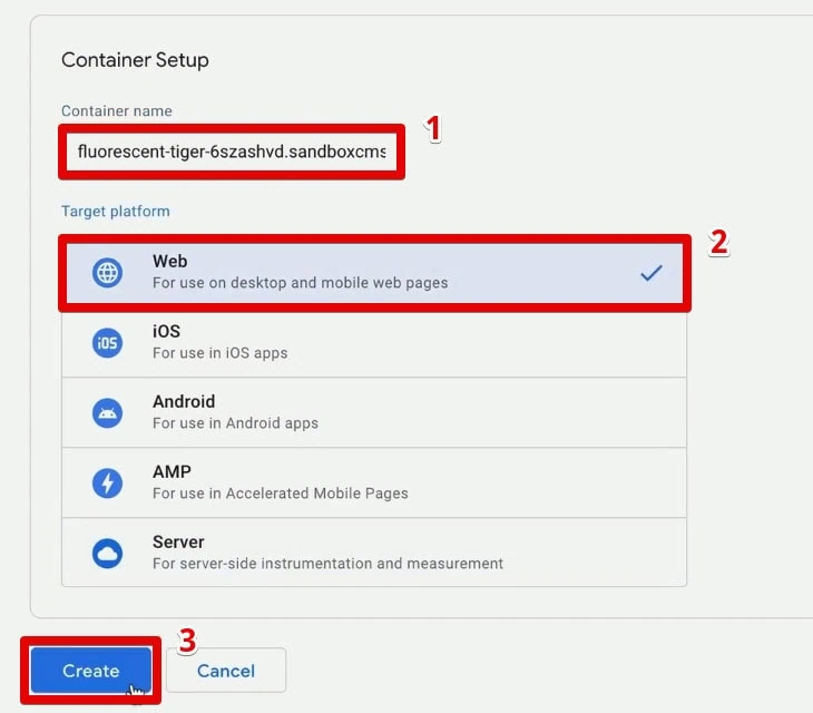 Filling out the container setup to finish the GTM account creation