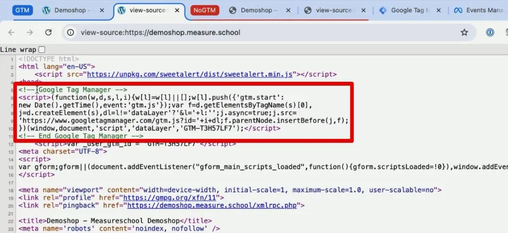 Google Tag Manager code in the page source HTML