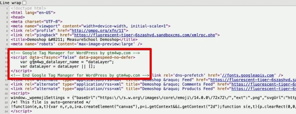 Google Tag Manager code installed through GTM4WP