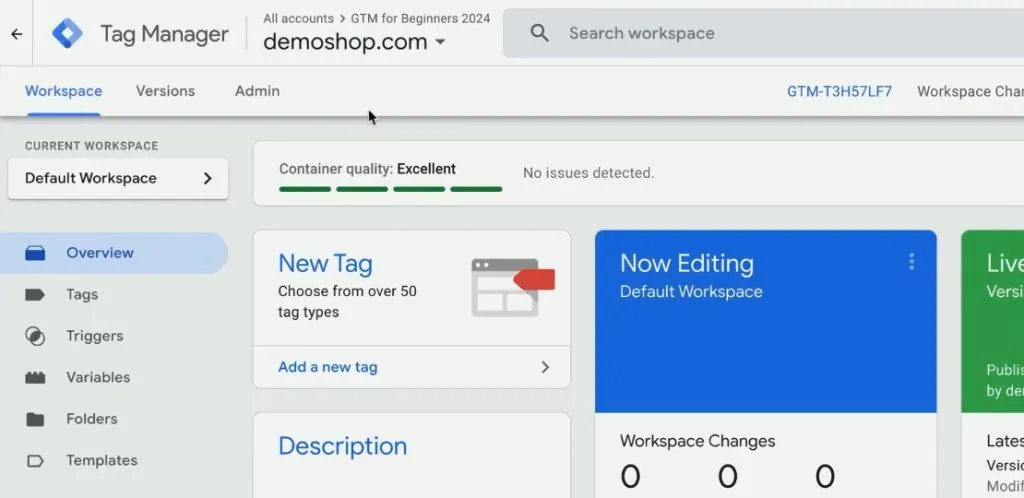 Google Tag Manager interface