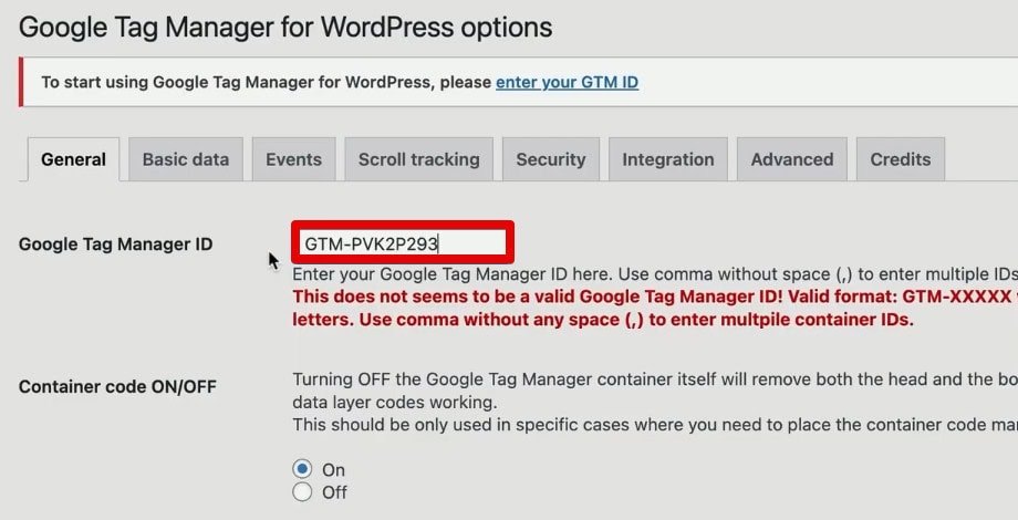 Pasting the GTM ID in WordPress