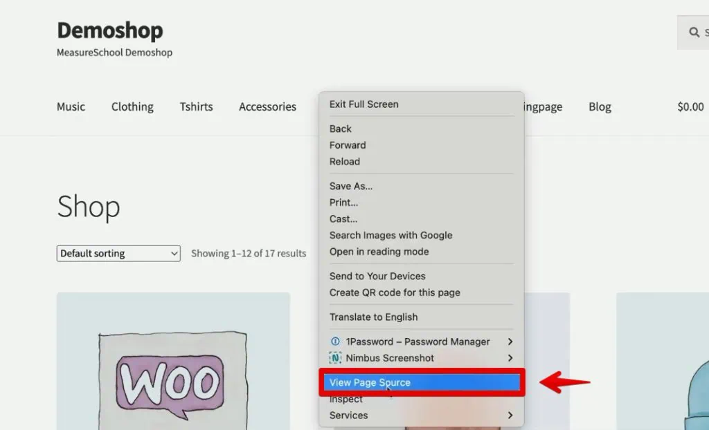 Viewing the page source in the demo shop