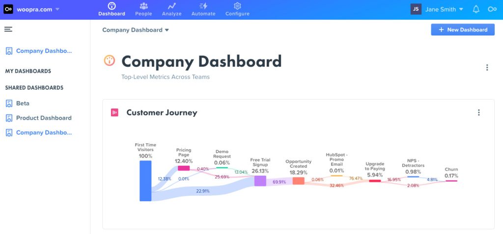 Woopra interface
